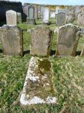 image of grave number 498735